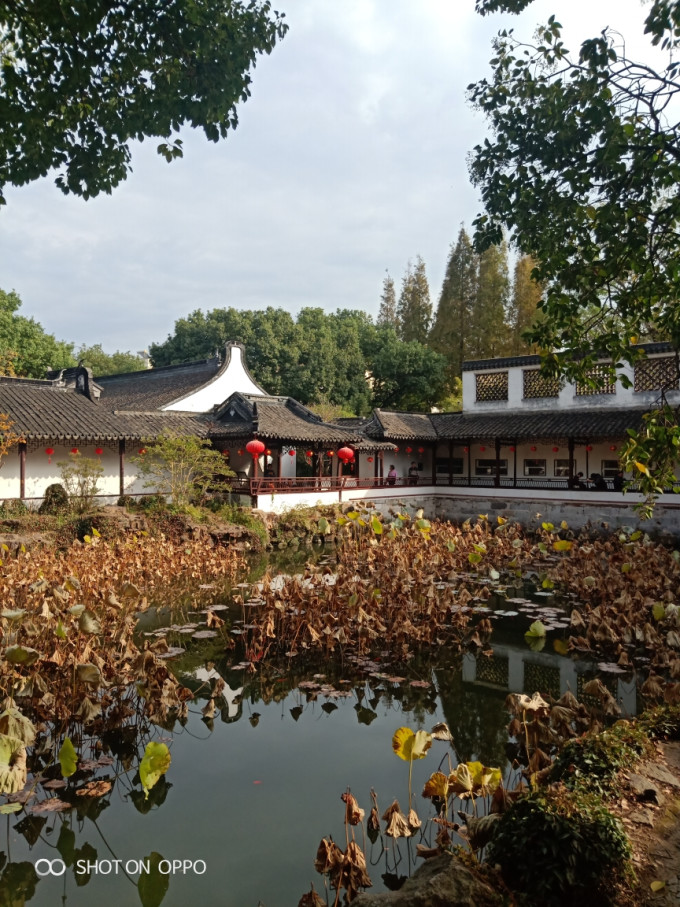 玩转上海松江‖自驾一日游《古典园林·醉白池》《繁花似锦·方塔园》
